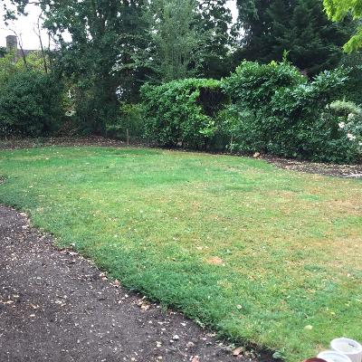 Garden Design in North London