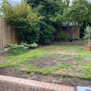 Garden Design in North London