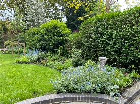 Garden Design in North London