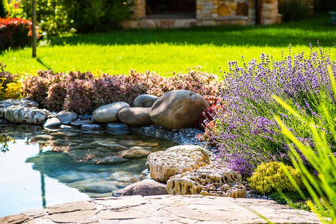 Pond landscape and flower beds with our Garden Design