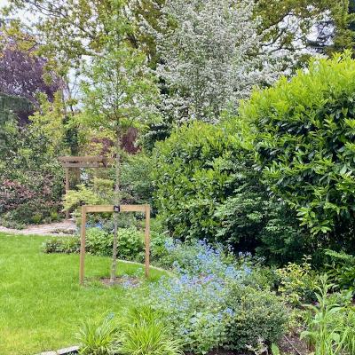 Garden Design in North London